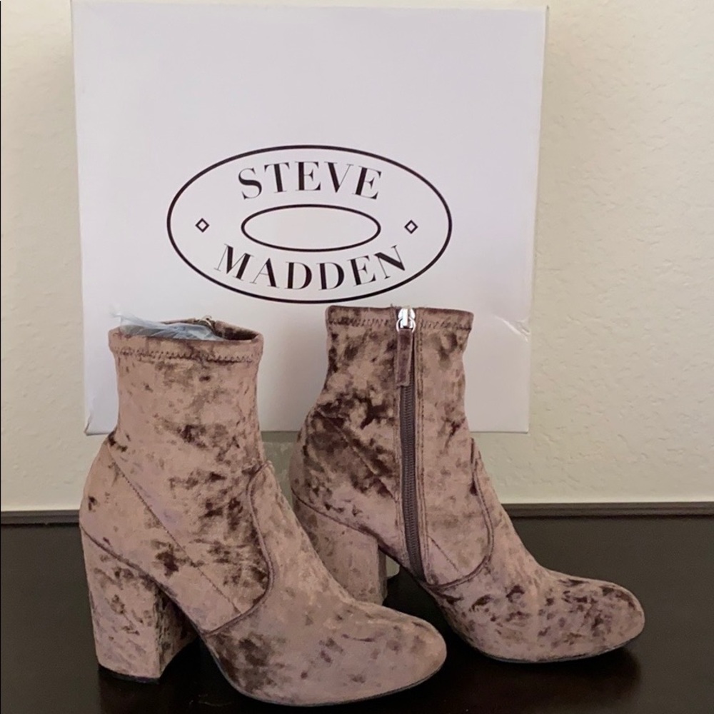 STEVE MADDEN “ EDIT” booties